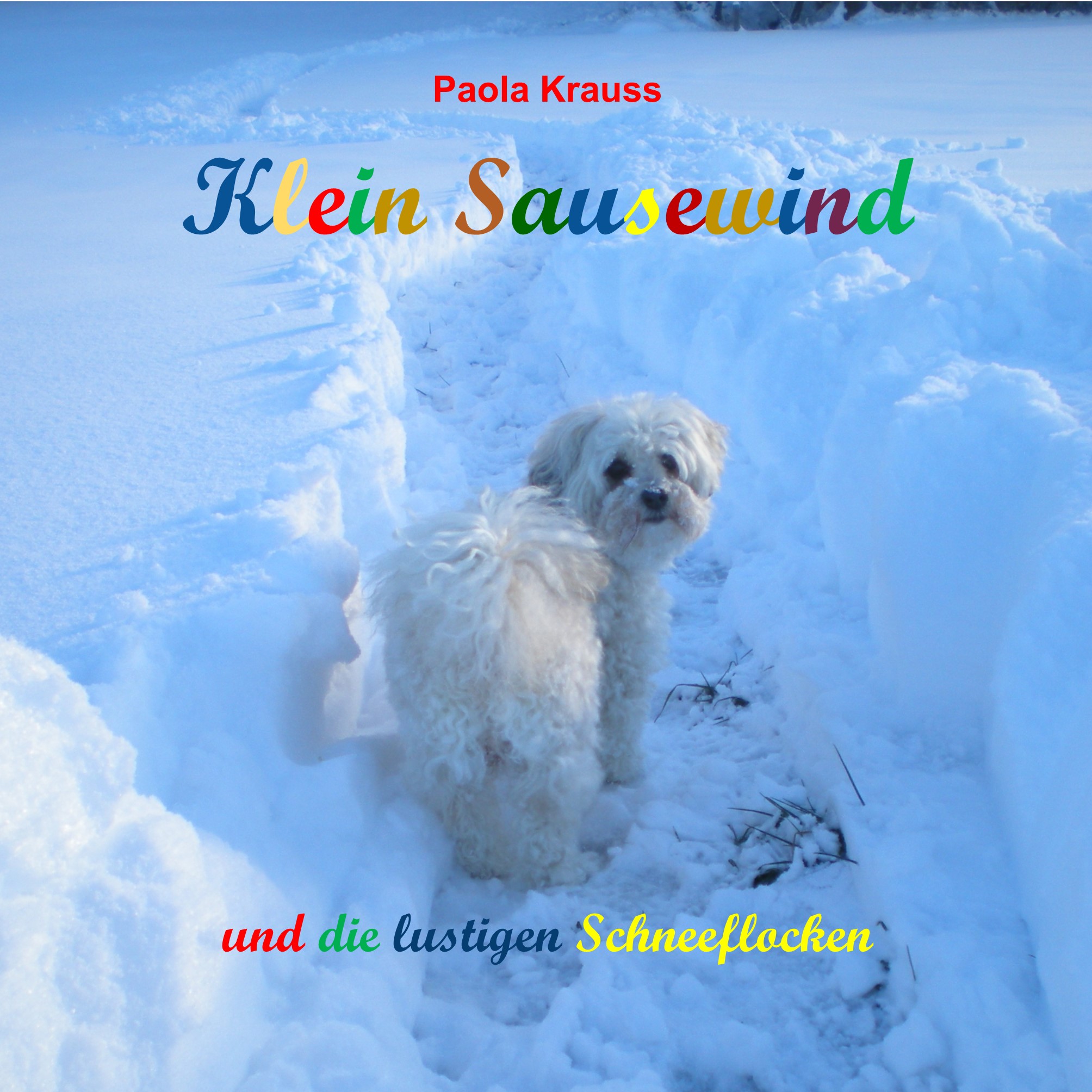 Klein Sauesewind und die lustigen Schneeflocken